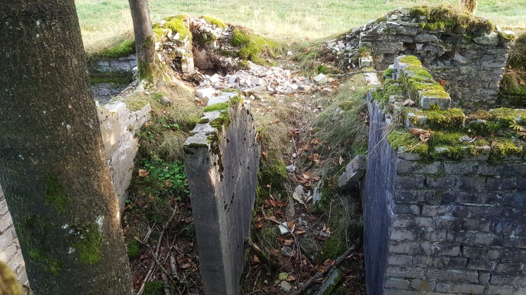 Startseite Haustenbeck